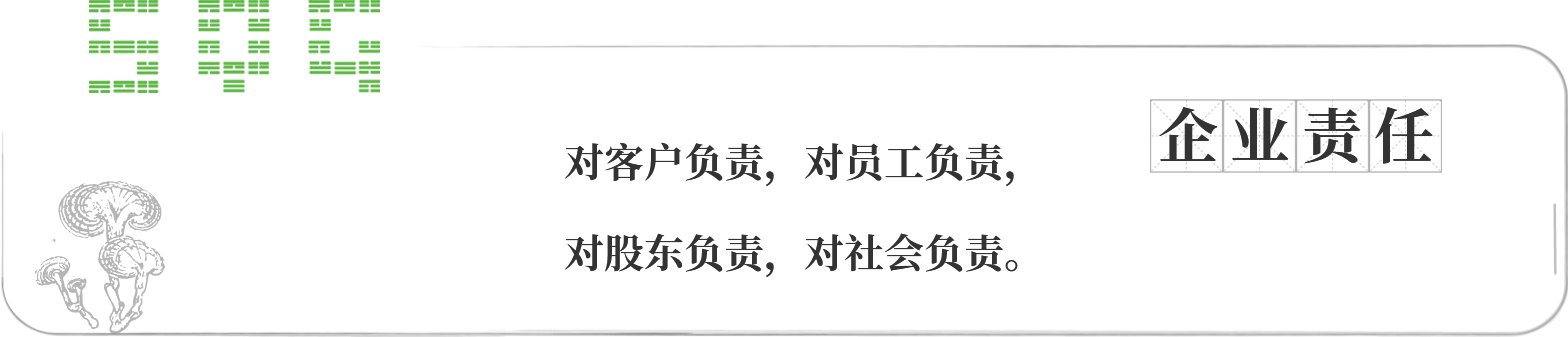 2009年一个夏天
