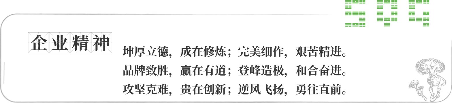桑黄菌在治病药效方面比较突出