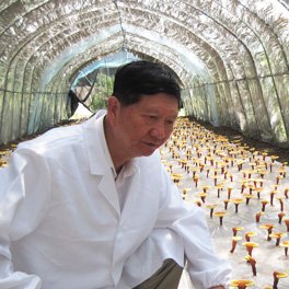 硕士研究生导师