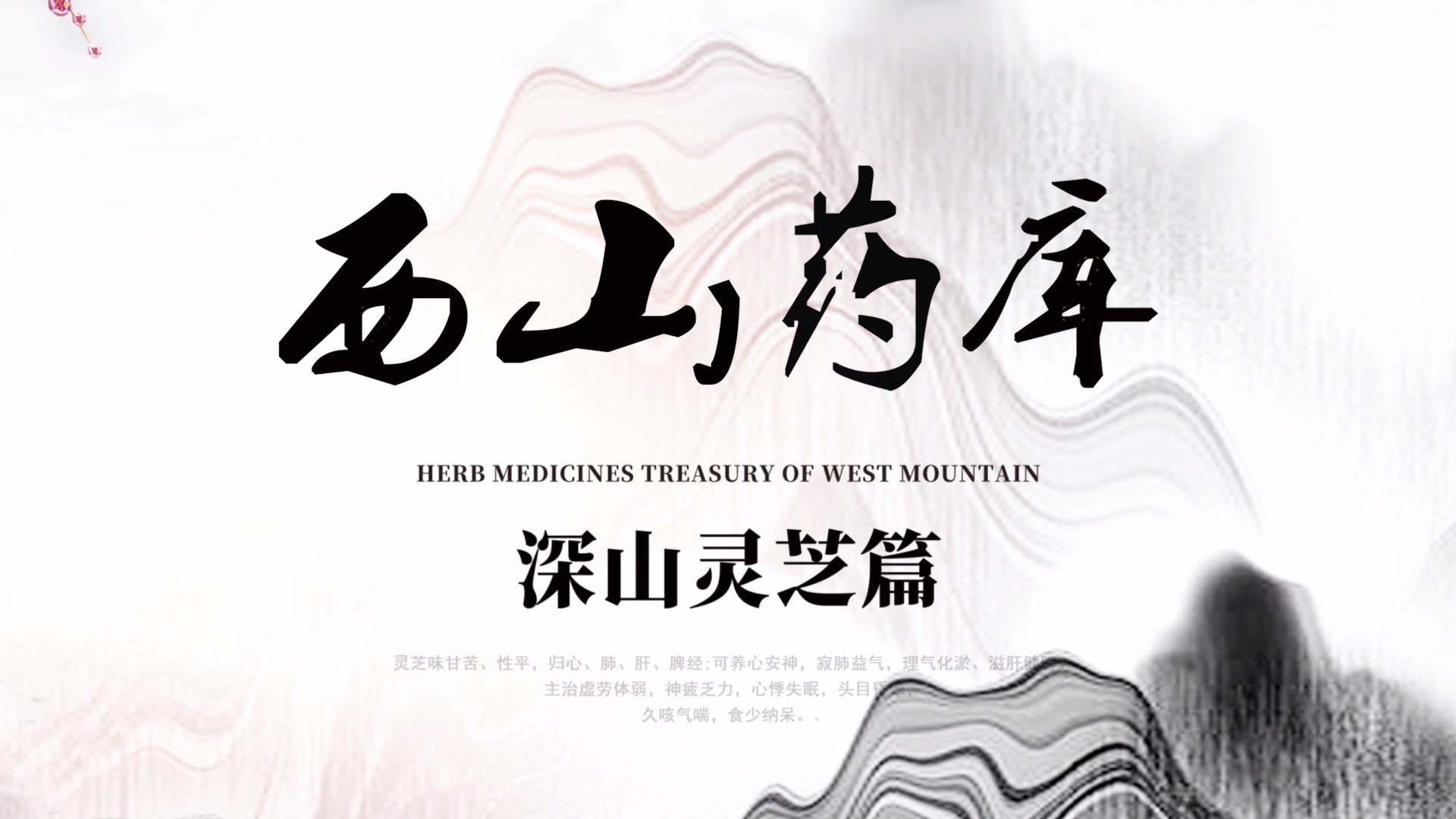 同类内容亚美登录注册新手怎么玩周围群