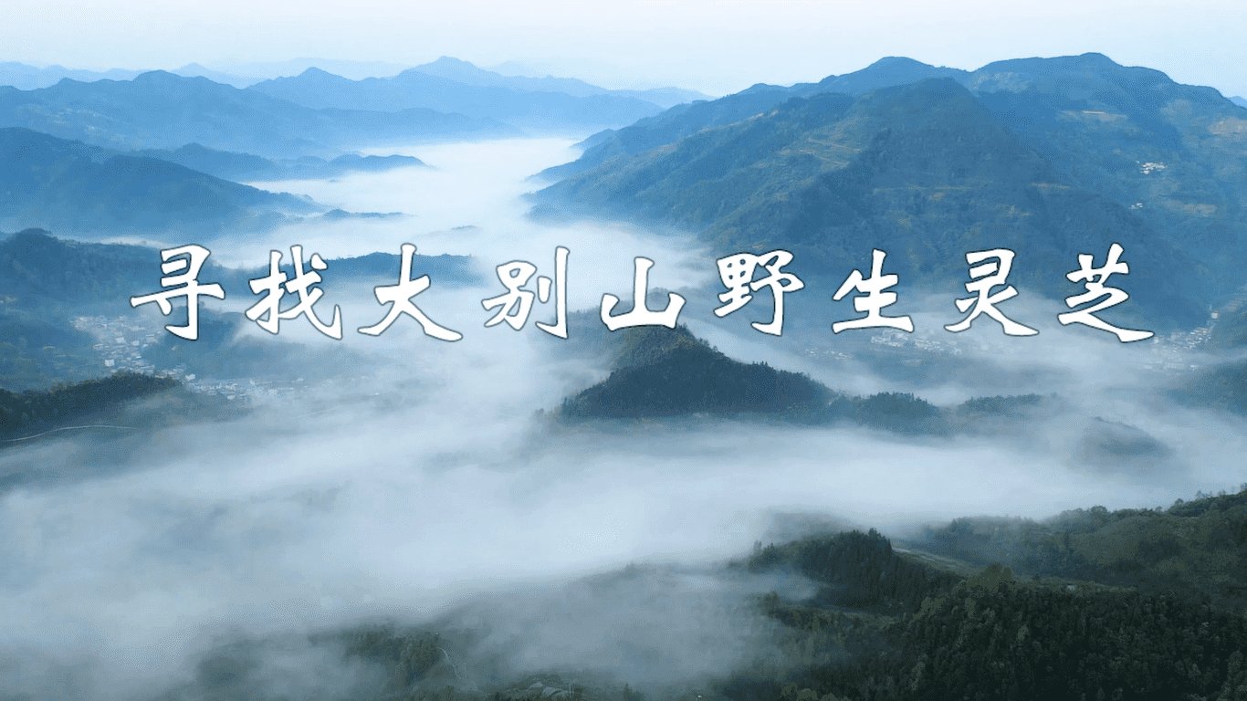 可先确认当前栏目名称