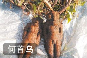 属南北气候分界点
