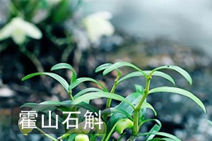 西山由于地处江淮分水岭