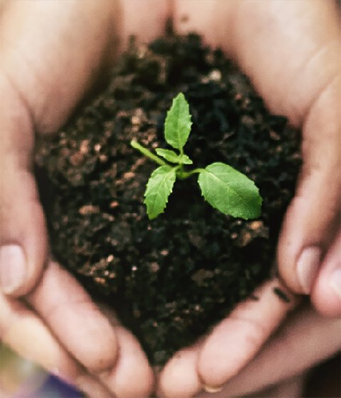 官方微信号