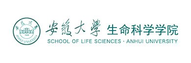 博士生导师