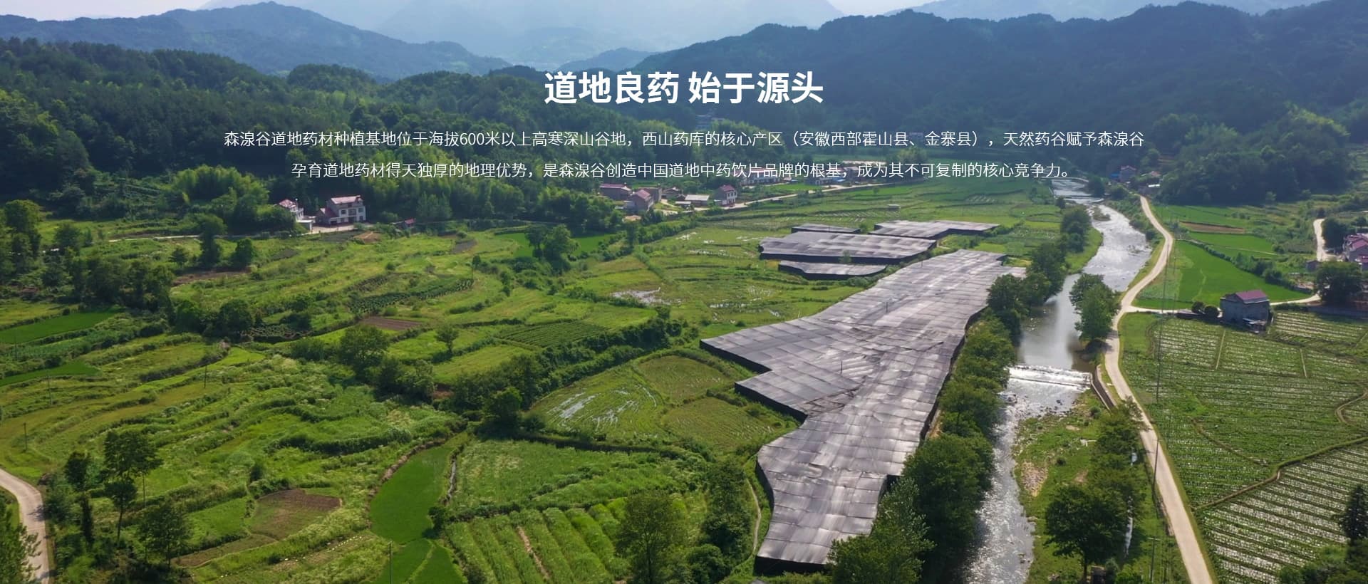 完全在野生环境下与自然抗争和物种之间